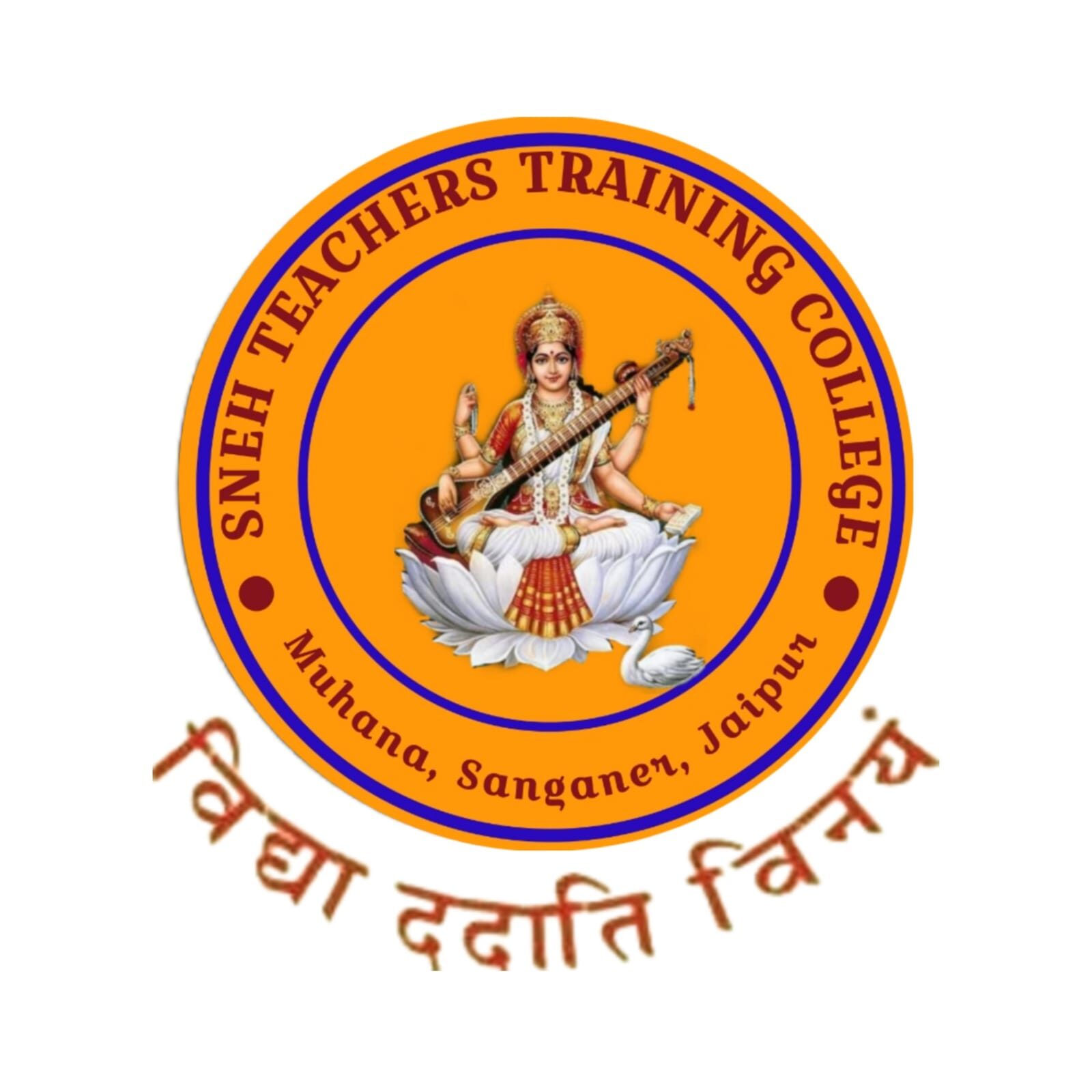 Sneh Teacher's Training College